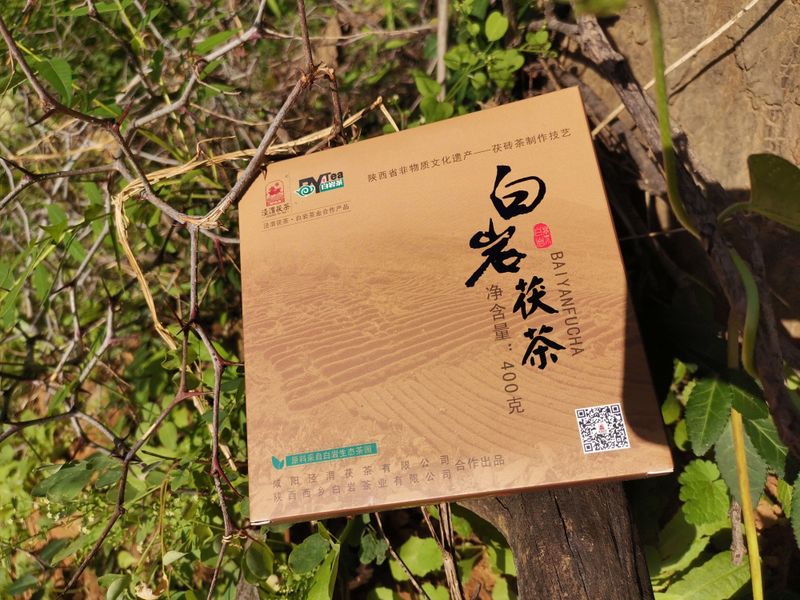 020年泾渭茯茶