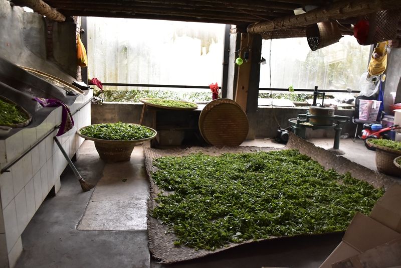 普洱茶投資分析：普洱茶市場的困境 根源在於隻做茶不推茶 - 茶友網(原中國普洱茶網)