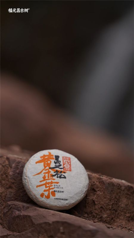 新品 福元昌古樹曼鬆黃金葉 高性價比稀缺品 - 茶友網(原中國普洱茶網)