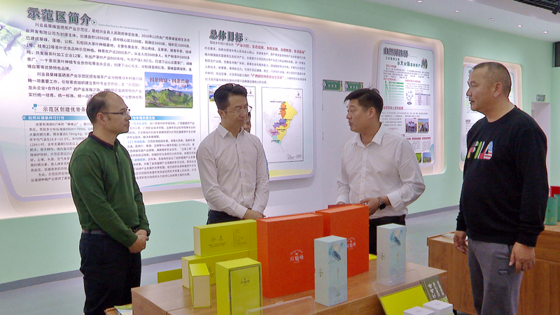 雷山县全都茶工业科技发展有限公司到兴业县调查洽谈