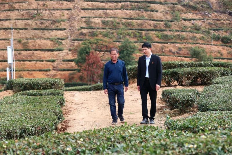 南安眉山：“两茶”工业齐并进 激活村庄复兴新动能