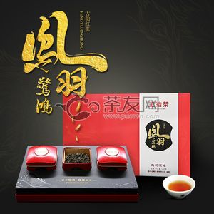 2019年正皓茶 凤羽惊鸿 红茶 50克 试用 的图片
