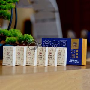 2019年兴海茶业 兴海小金砖 熟茶 432克 试用 的图片